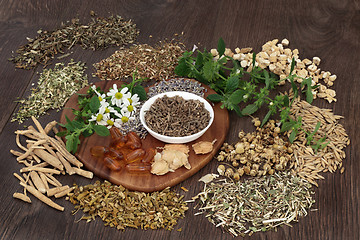 Image showing Herbal Medicine for Anxiety and Sleeping Disorders