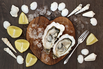 Image showing Oyster Shellfish