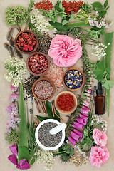 Image showing Herbal Medicine Selection