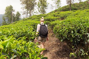 Image showing Female tourist enjoying beautiful nature of tea plantations, Sri Lanka.