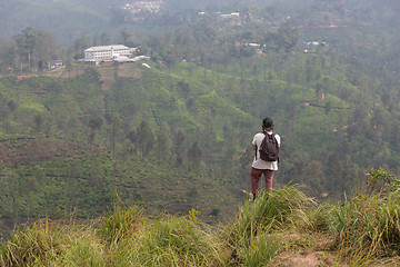 Image showing Male tourist enjoying beautiful view of tea plantations, Sri Lanka.