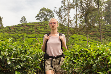 Image showing Female tourist enjoying beautiful nature of tea plantations, Sri Lanka.