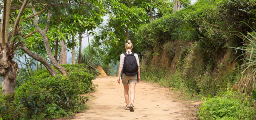 Image showing Female tourist enjoying beautiful nature of tea plantations, Sri Lanka.