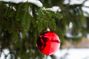 Image showing red christmas ball on fir tree branch with snow