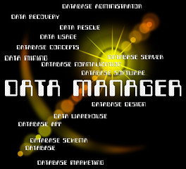 Image showing Data Manager Shows Bytes Director And Managers