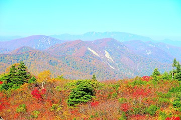 Image showing Autumn colors at Kurikoma highlands in Akita and Iwate