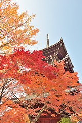 Image showing Maple leaves and pagoda in Kyoto