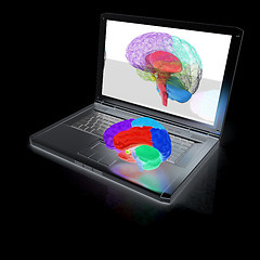 Image showing creative three-dimensional model of real human brain and scan on