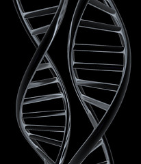 Image showing DNA structure model. 3d illustration