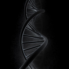 Image showing DNA structure model. 3d illustration