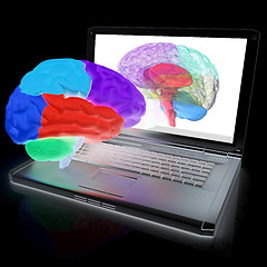 Image showing creative three-dimensional model of real human brain and scan on