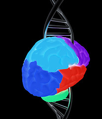 Image showing Brain and dna. 3d illustration