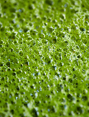 Image showing close up of matcha green tea latte foam bubbles