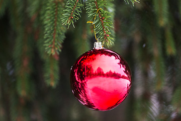 Image showing red christmas ball on fir tree branch with snow