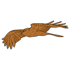 Image showing Sketch beautiful eagle on a white background. illustration.