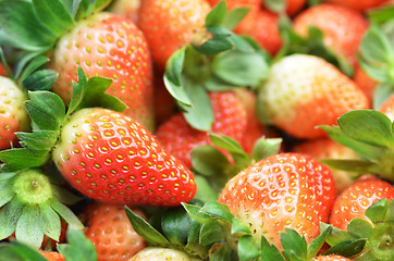 Image showing Fresh ripe strawberry  