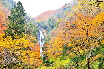 Image showing Kanba waterfall and autumn colors in Okayama
