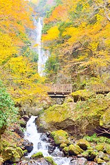 Image showing Kanba waterfall and wooden bridge during autumn in Okayama