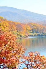 Image showing Autumn colors and a lake at Mt Kurikoma in Akita and Iwate