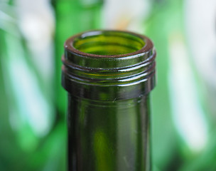 Image showing Green bottle neck