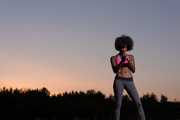 Image showing young african american woman in nature