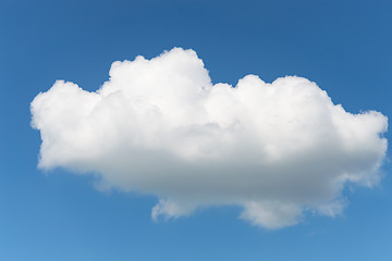 Image showing Single fluffy Cumulus cloud