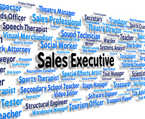 Image showing Sales Executive Shows Senior Administrator And Boss