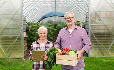 Image showing senior couple with box of vegetables on farm