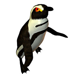 Image showing Penguin dancer