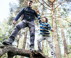 Image showing little son with father climbing on tree together in forest, lifestyle people concept, happy smiling family on summer vacations