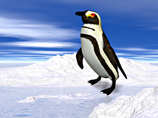 Image showing Penguin standing on snow