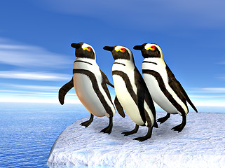 Image showing Three penguins standin on ice