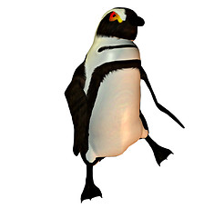 Image showing Penguin dancer