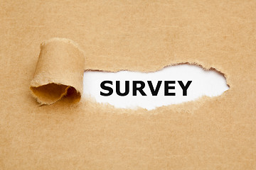 Image showing Survey Ripped Paper Concept