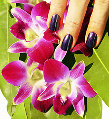 Image showing bright colored photo of fingernails with manicure and orchids ma