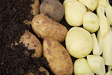 Image showing Potatos (potatoes)