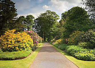 Image showing Garden Path