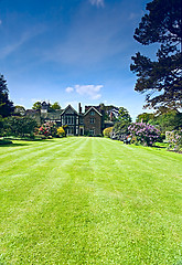 Image showing Tudor Garden