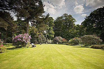 Image showing Beautiful garden