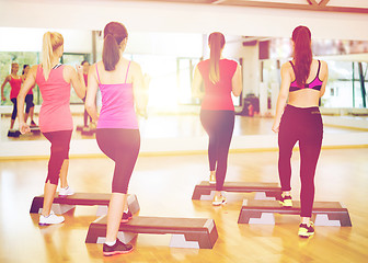 Image showing group of smiling people doing aerobics