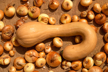 Image showing Close up of a pumpkin surrounded by onions