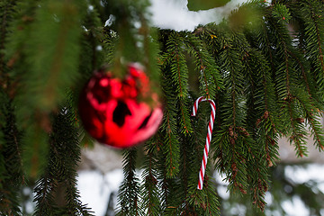 Image showing candy cane and christmas ball on fir tree branch