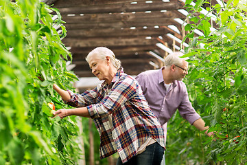 Image showing happy senior couple at farm greenhouse