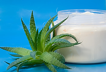 Image showing Aloe Vera Cream