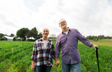 Image showing happy senior couple at summer farm