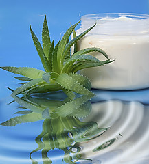 Image showing Aloe Vera Cream