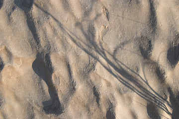 Image showing Rock texture with grass shadow