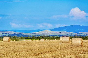 Image showing Haystacks on the Field