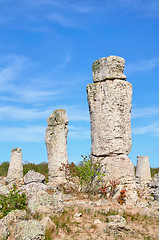 Image showing The Stone Desert