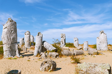 Image showing The Stone Desert